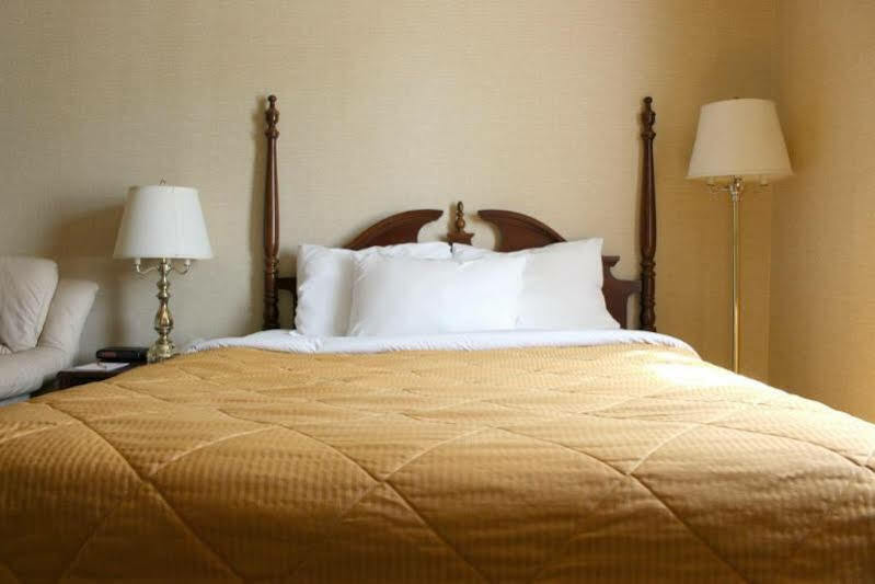 Econo Lodge City Centre Кингстон Экстерьер фото